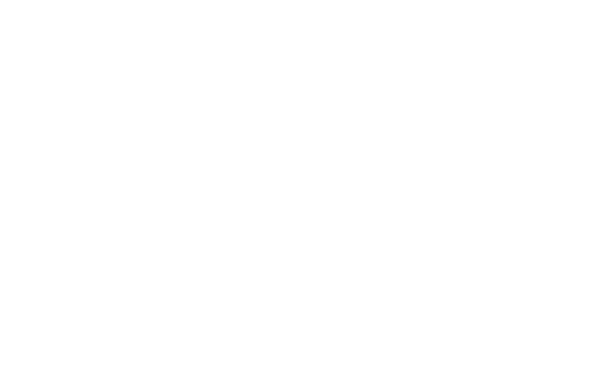תנועת השהייה