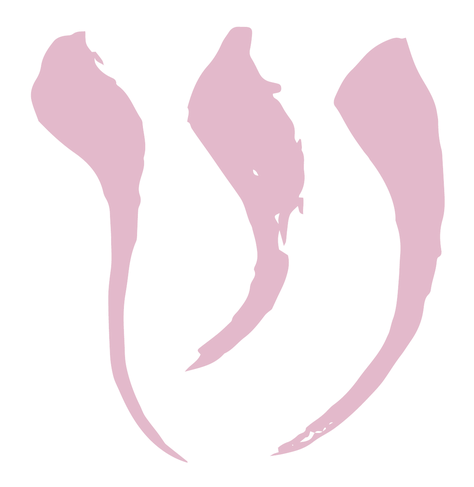 שהייה